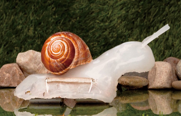 A snail-inspired soft robot moves along a reflective surface.