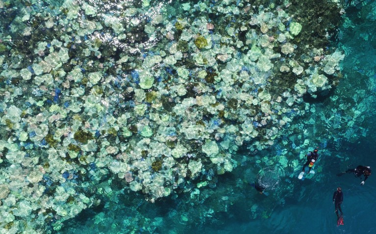 Aerial view from a drone shows Japan's largest coral reef, Sekiseishoko, with bleached corals and divers at the surface
