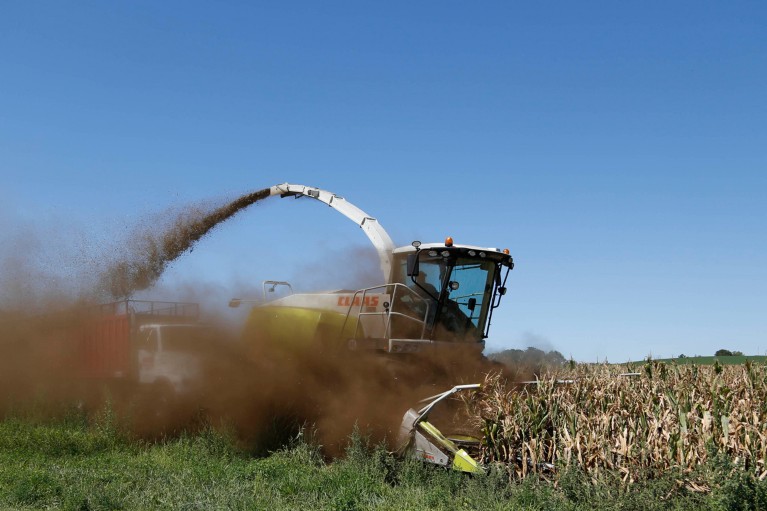 A dark cloud of dust from smut surrounds a machine harvesting crops on a sunny day