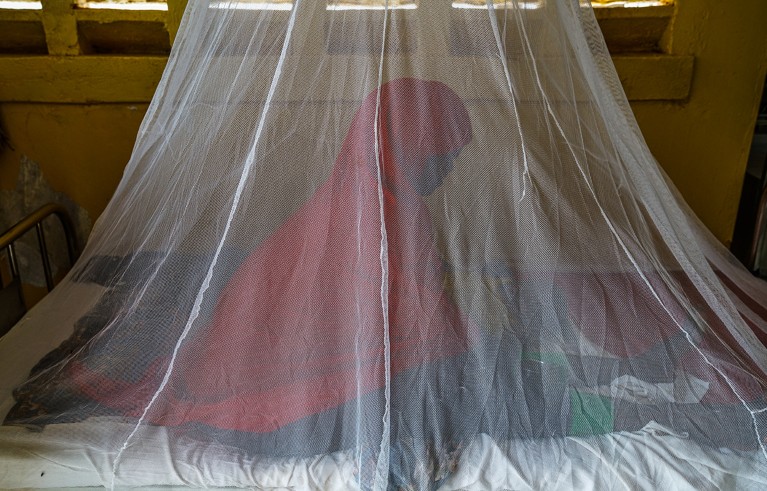 A person sits on a bed behind a mosquito net.