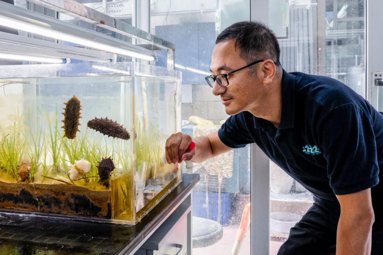 Libin Zhang bends down slightly to view sea cucumbers in a tank