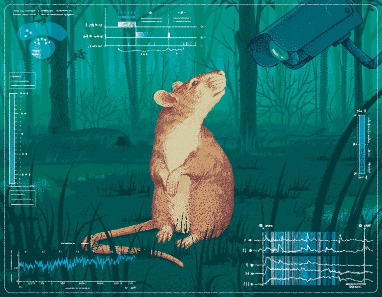 Conceptual illustration showing a mouse being observed in natural environment.