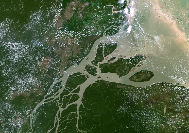 True colour satellite image of the mouth of the river Amazon.