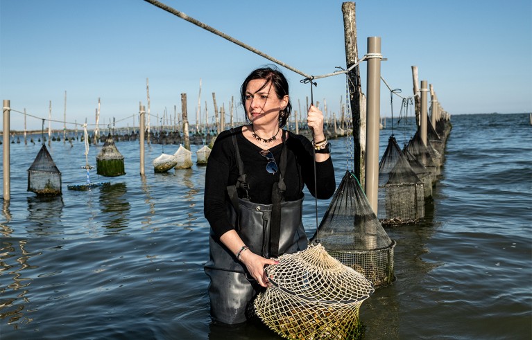 Ecologist Elena Tamburini sampling of oysters during pre-growth in the lagoon, Goro, Italy.