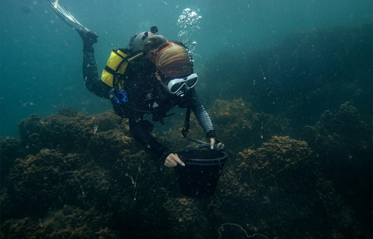 Long Ying underwater studies how temperature impacts the health of the coral within the MACORIN project, Thailand.
