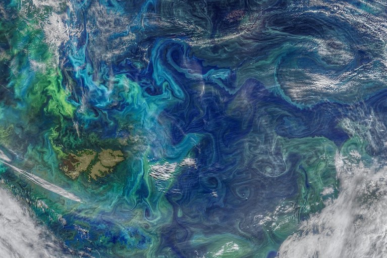 Satellite image of swirling phytoplankton blooms in green and blue colours