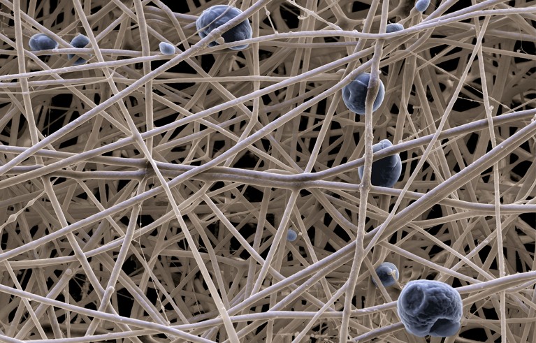 Scanning electron microscopy image of a tangle of nanofibres.
