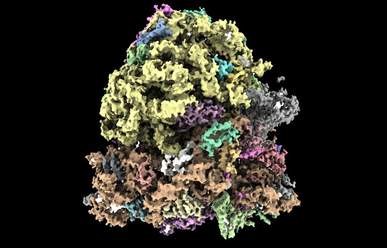 70S Ribosome cryoEM structure determined at 100 keV.