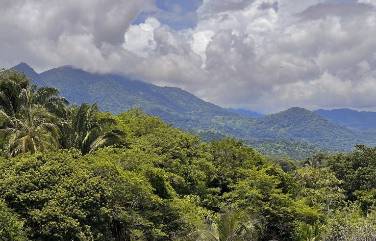Foothills of the Sierra Nevada de Santa Marta mountains as they meet the Caribbean coast near Playa Los Angeles in northern Colombia.