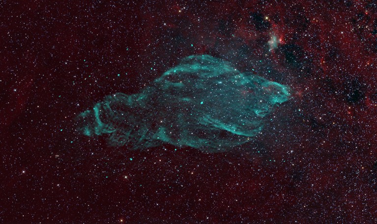 The Manatee Nebula (also known as W50 or SNR G039.7-02.0)