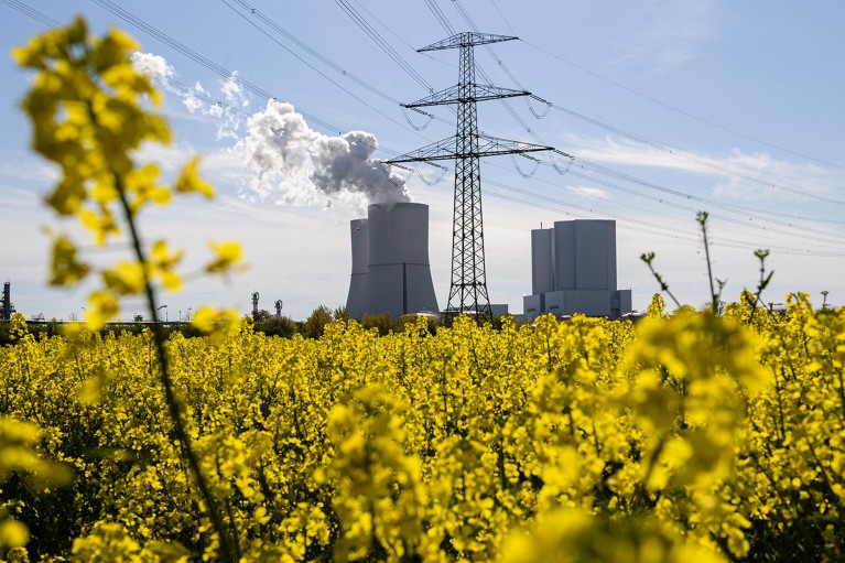 A field of rapeseed stands next to the Lippendorf coal-fired power plant in Germany.