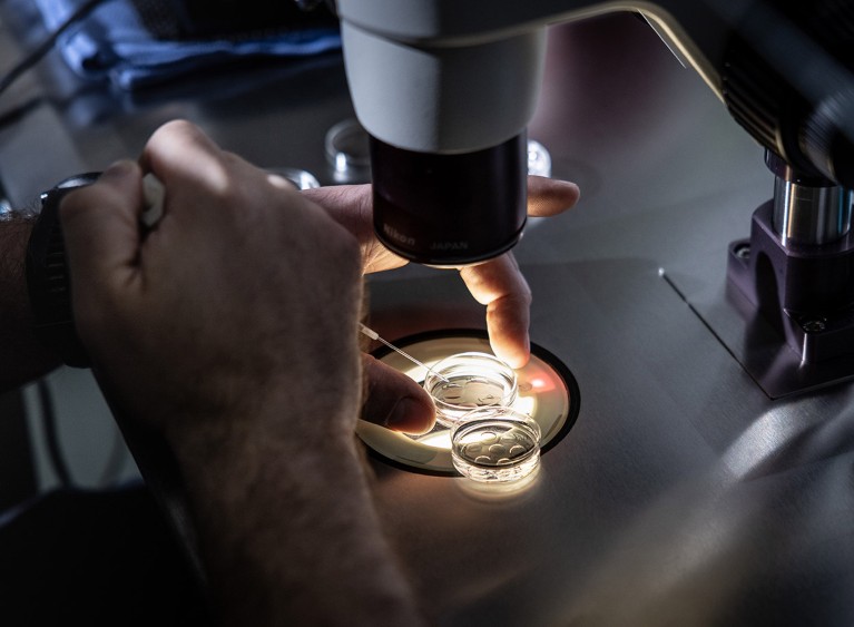 Illia Brusianskyi, a senior embryologist at West Coast Fertility Centers, in Fountain Valley, CA., adds media to petri dishes containing embryos before freezing..