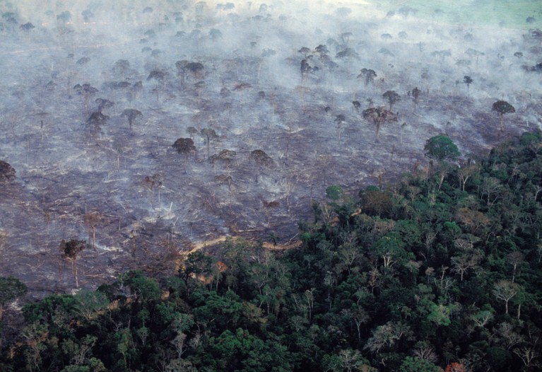 Aerial view of an area of Amazon rainforest in Brazil burning.