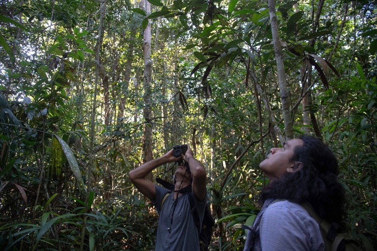 Two people, one with binoculars, stand in the Amazon rainforest looking up at the trees.