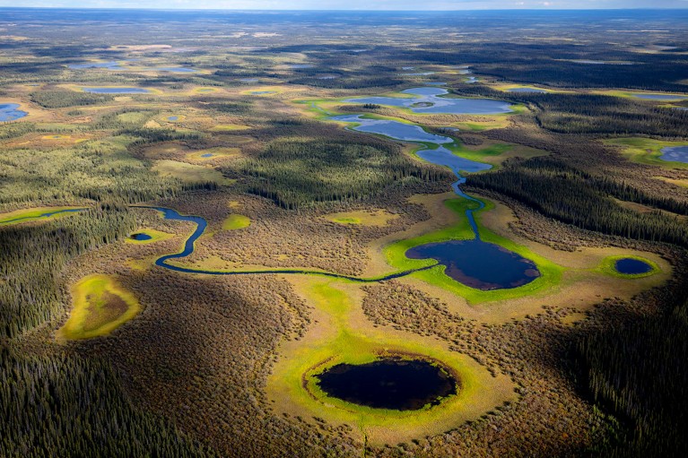 An aerial view of the Yukon Flats National Wildlife Refuge in Alaska.
