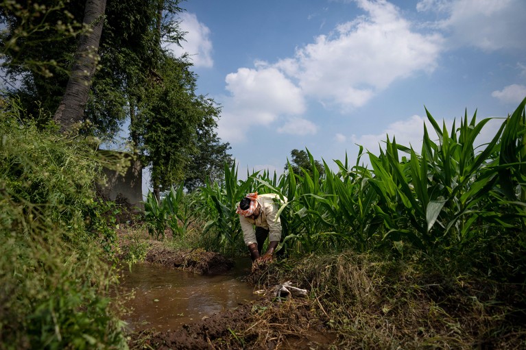 A farmer, who is part of a collective that practices natural farming, works at his farm in southern India.