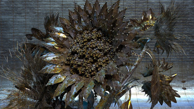 Uniformly dark brown metallic sunflowers bloom in front of wire mesh