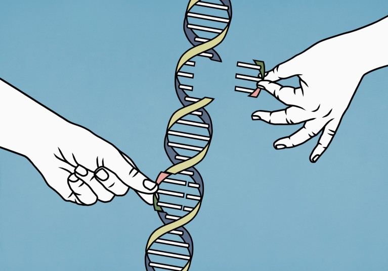 Illustration of two hands removing sections of a DNA double helix