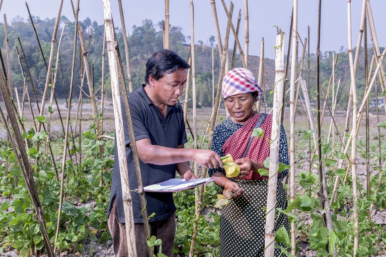 Bhogtoram Mawroh examines bean leaves in a field of crops while speaking with a local farmer in Khweng village, Meghalaya, India.