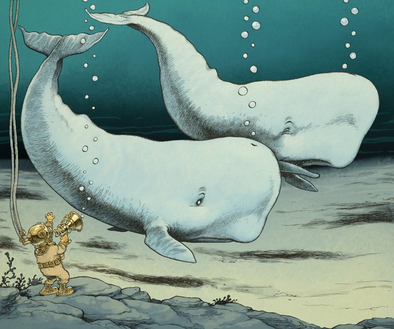 A cartoon of two whales communicating with each other underwater, with a scientist in a deep-sea diving suit listening in with a piece of equipment.