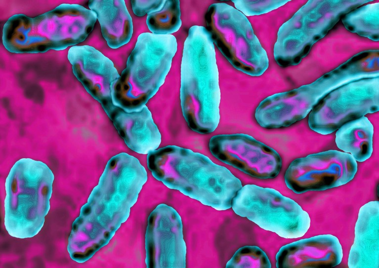 A scanning electron micrograph of microscopic bacteria, shown in aqua coloured ovals, on a bright pink background