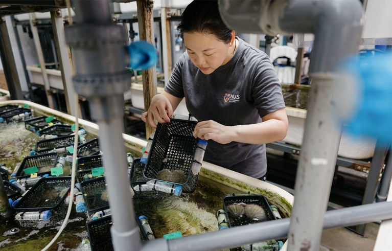 Mei Lin Neo holding a small plastic basket in front of a water tank for mussels. She is framed among grey plastic pipes.