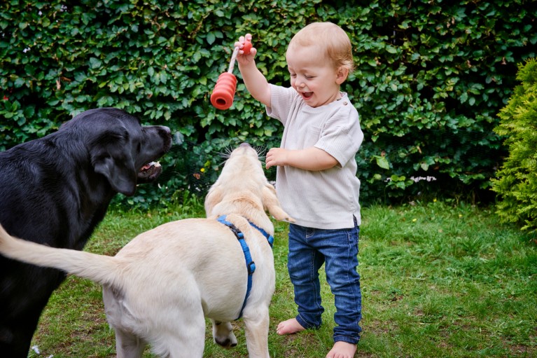 A toddler plays with a cream and a black dog in a garden