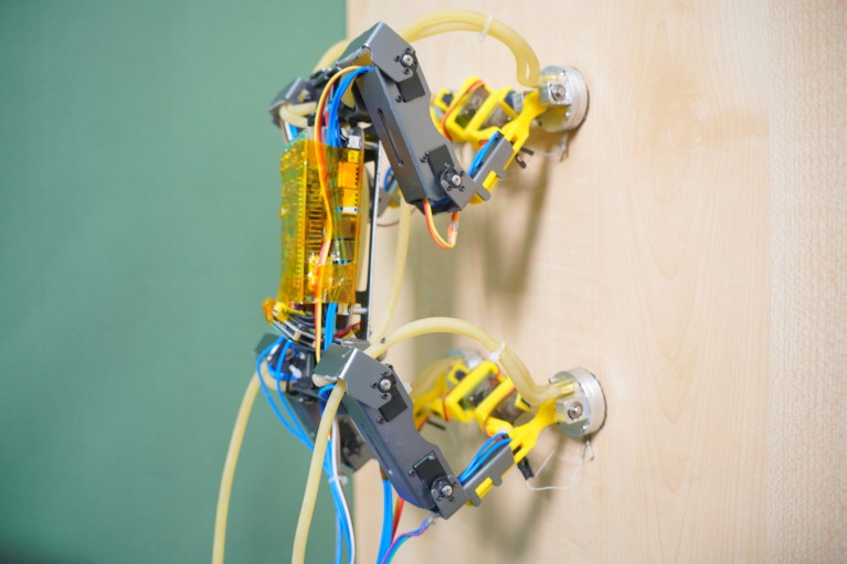 A small, four-legged grey, yellow and blue robot climbs up a wooden wall