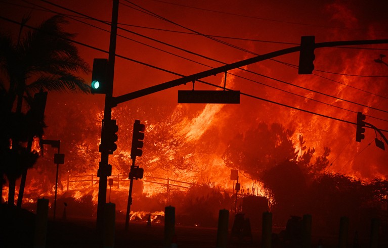 Traffic lights at an intersection are starkly shown in silhouette against the roaring flames of a wildfire.