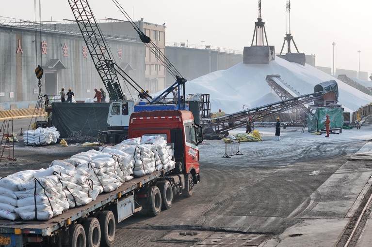 Workers bag bulk fertilizer for shipping at an industrial port in China.