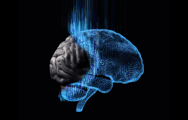 為大腦理論注入生命力:擺脫機械模型,擁抱生物學觀點