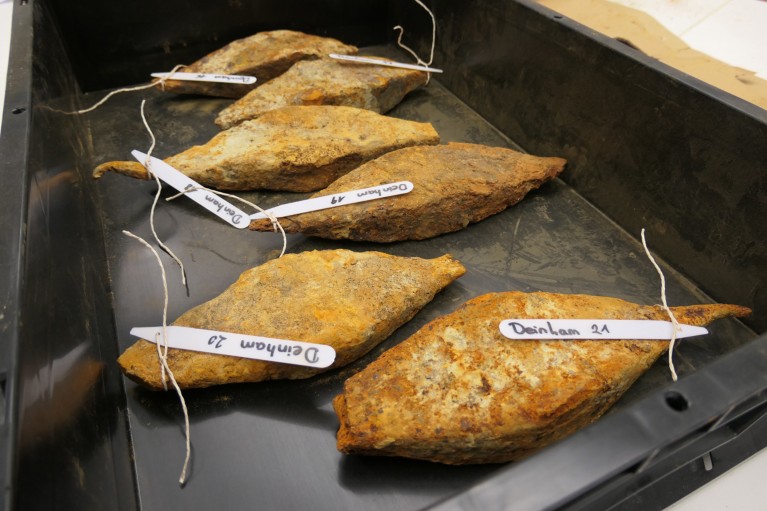 Six corroded iron bars with pointed ends are arranged in a black tray, each individually labelled with a white identification tag attached by string.