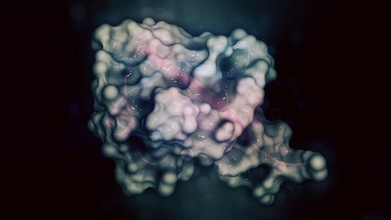 3D rendering of a ubiquitin protein molecule