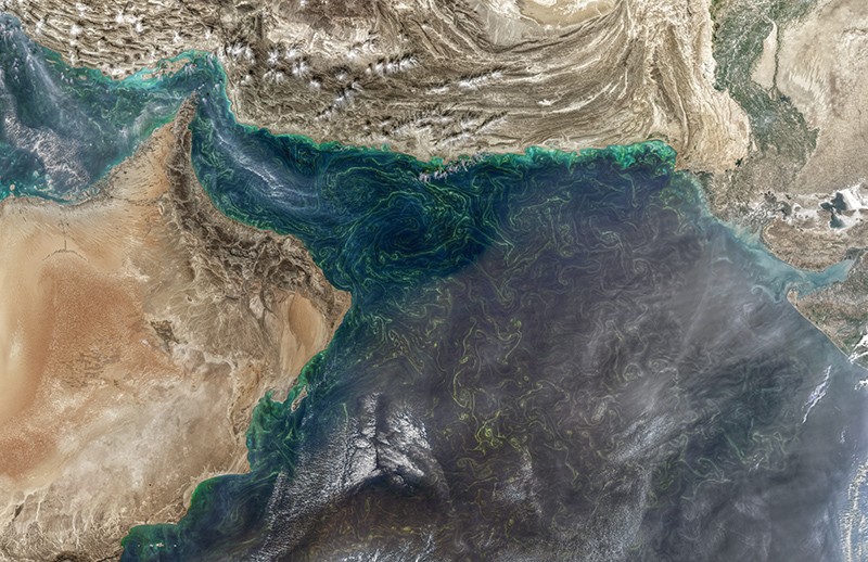 January 14, 2018, the Aqua/MODIS radiometer detected massive phytoplankton blooms on the Arabian Sea