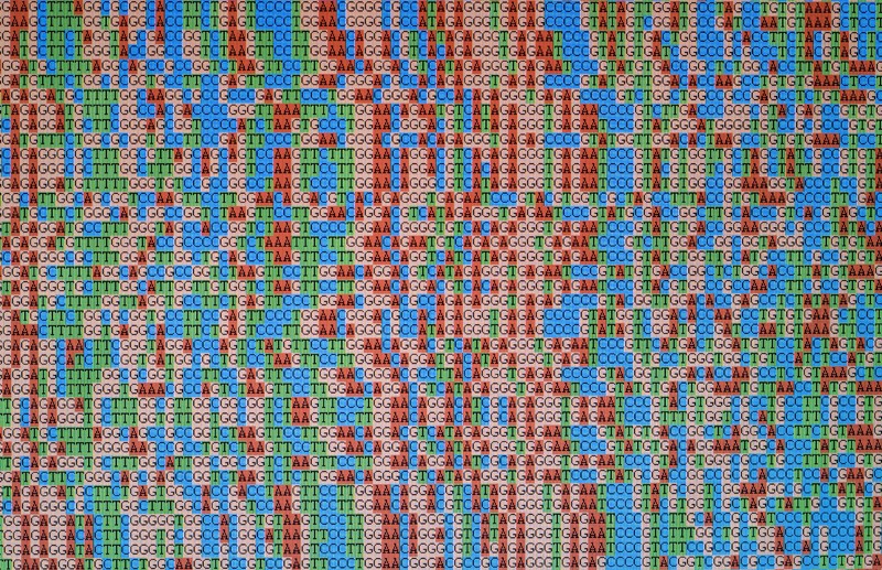Photo of unaligned DNA base sequences on a computer screen.
