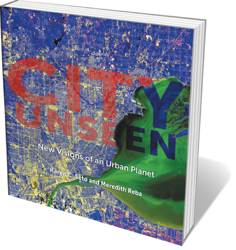 City Unseen New Visions of an Urban Planet Epub-Ebook