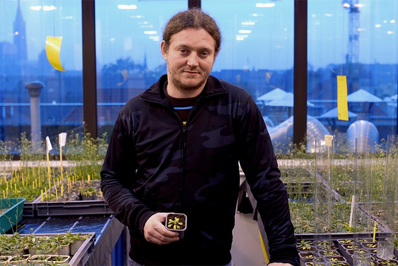 Dr Olivier Voinnet, pictured with his plants in 2006.