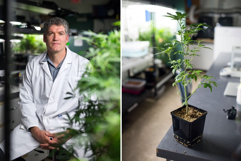 Jonathan Page and cannabis plant