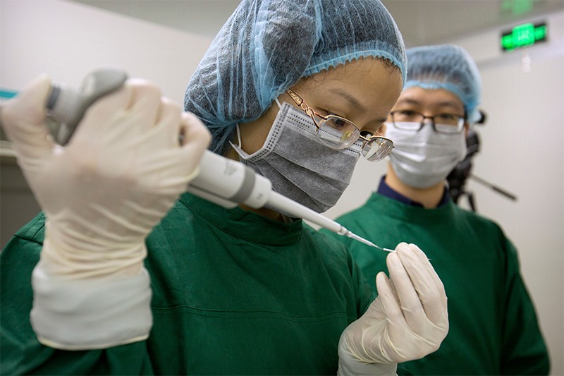 Zhou Xiaoqin (l) loads Cas9 protein and PCSK9 sgRNA molecules into a fine glass pipette as Qin Jinzhou (R) watches.