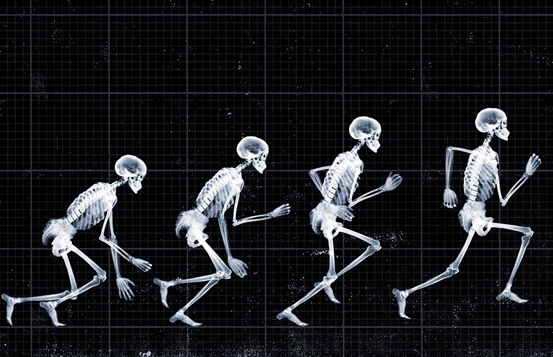 X-ray sequence of a human skeleton running