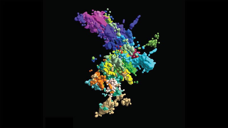 multicoloured image of chromatin’s structure