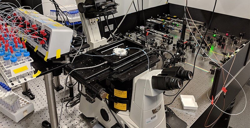 A super-resolution microscopy system for imaging chromatin.