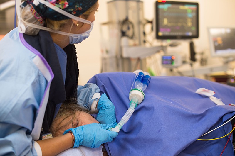 An anesthetist places a laryngeal mask on a patient in surgery