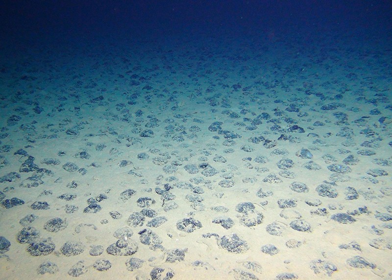 Manganese Nodules on the seafloor in the Clarion-Clipperton Zone