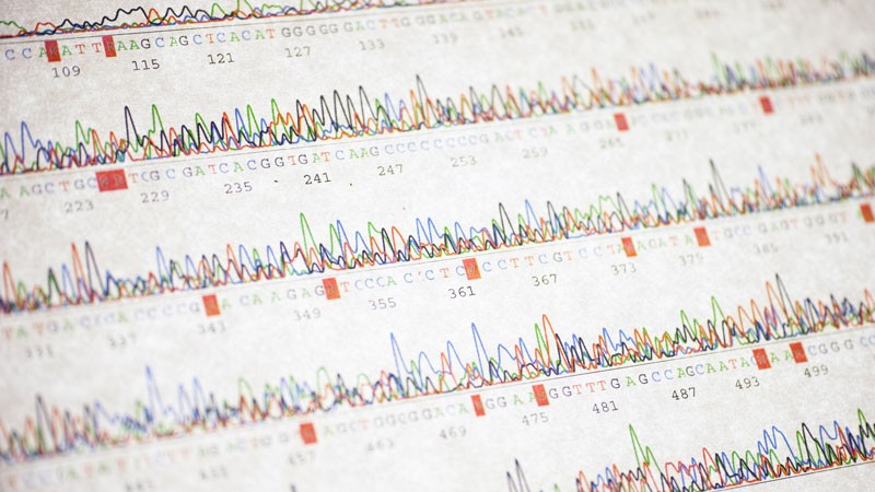 Poor DNA sequencing result.