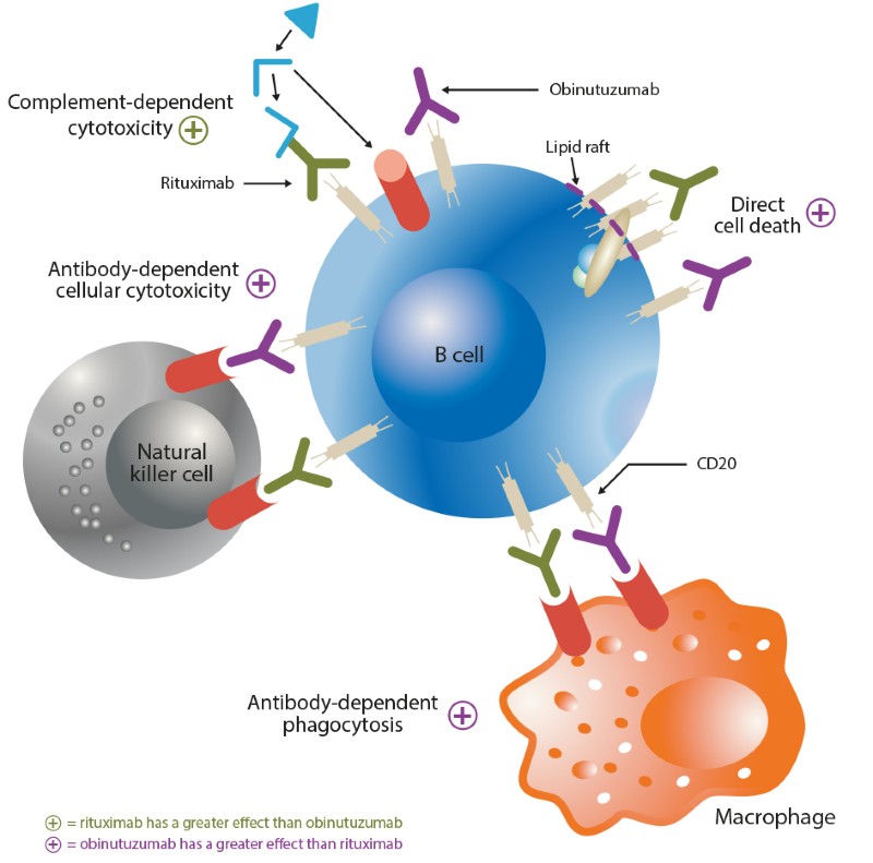 Obinutuzumab for the treatment of non-Hodgkin lymphomas