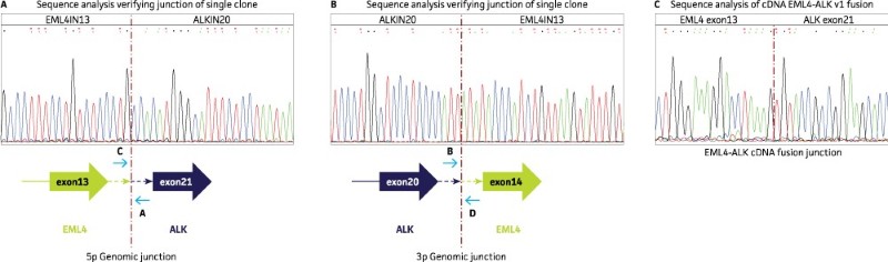 Developing Isogenic Cell Models With CRISPR: An EML4-ALK Fusion NSCLC ...